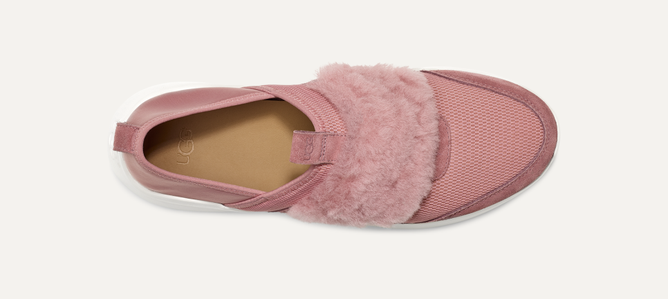 Women s Pico Sneaker UGG Official