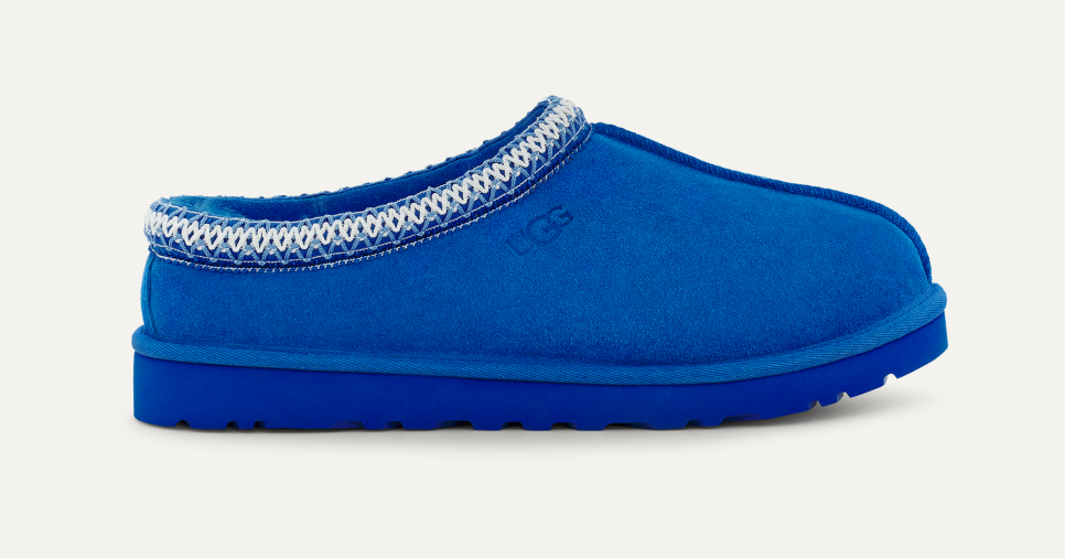 Mens blue ugg slippers online
