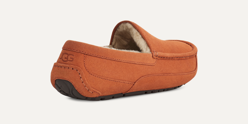 Ugg ascot mens cheap