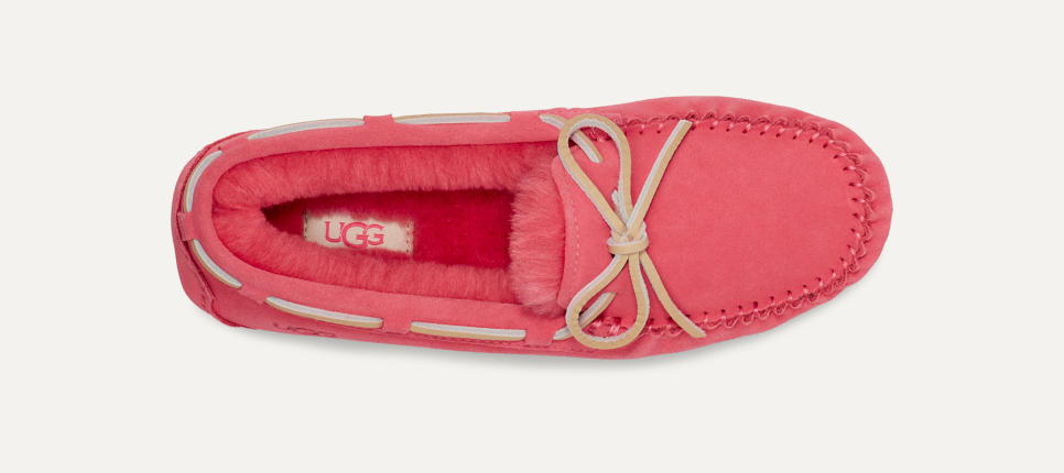 Dakota Slipper UGG Official