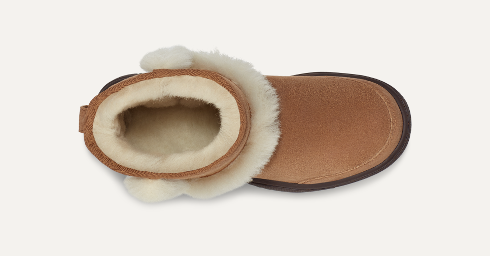 Sunburst uggs cheap