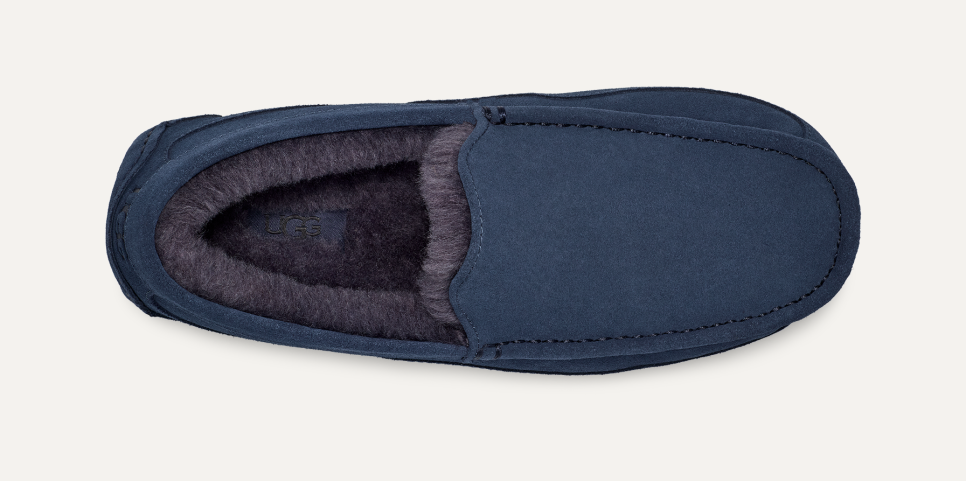 Ascot Slipper UGG
