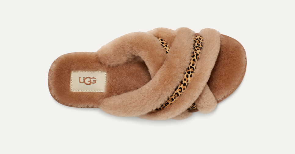 Ugg abela slipper new arrivals