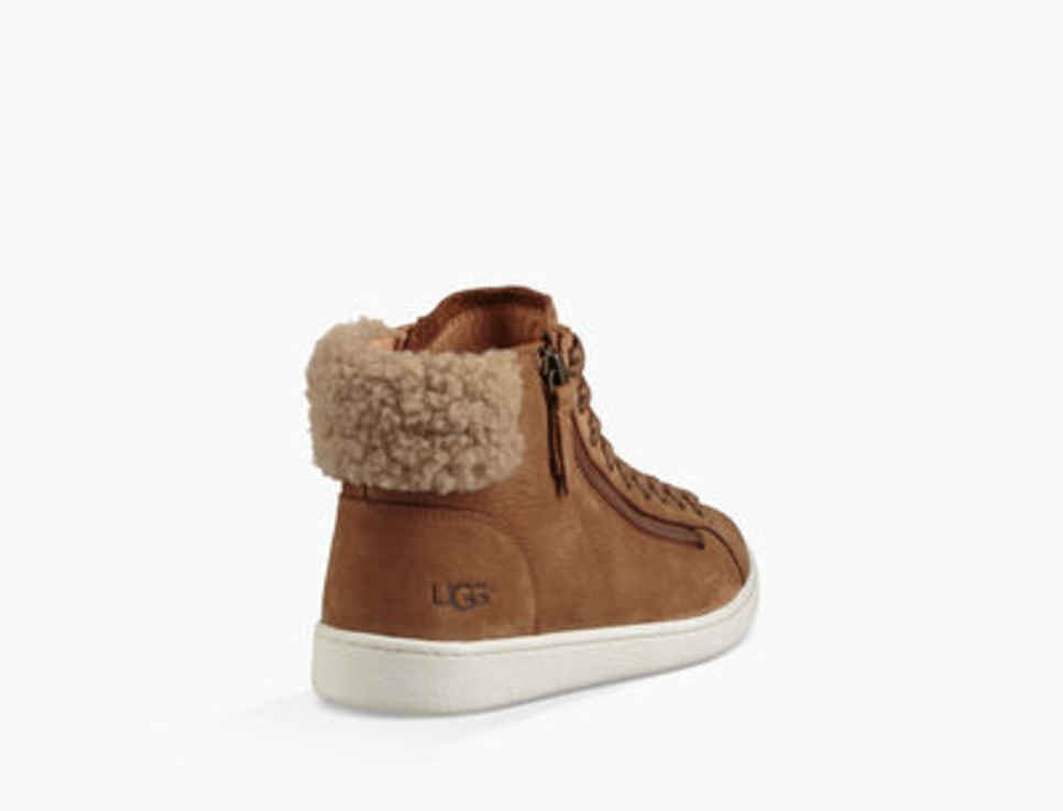 ugg olive high top sneaker