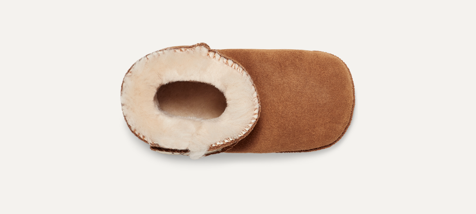Erin bootie ugg new arrivals