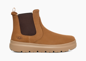 Ugg chelsea boots mens best sale