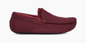 Ugg ascot online horween slipper