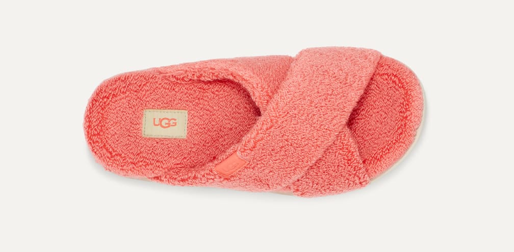 UGG® 公式【 ファズ シュガー テリー クロス スライド|Fuzz