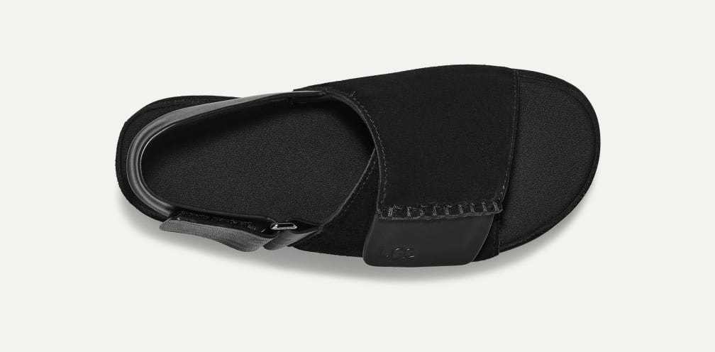 楽天市場】【 ugg 国内正規商品 】 UGG Goldenstar Hi Slingback