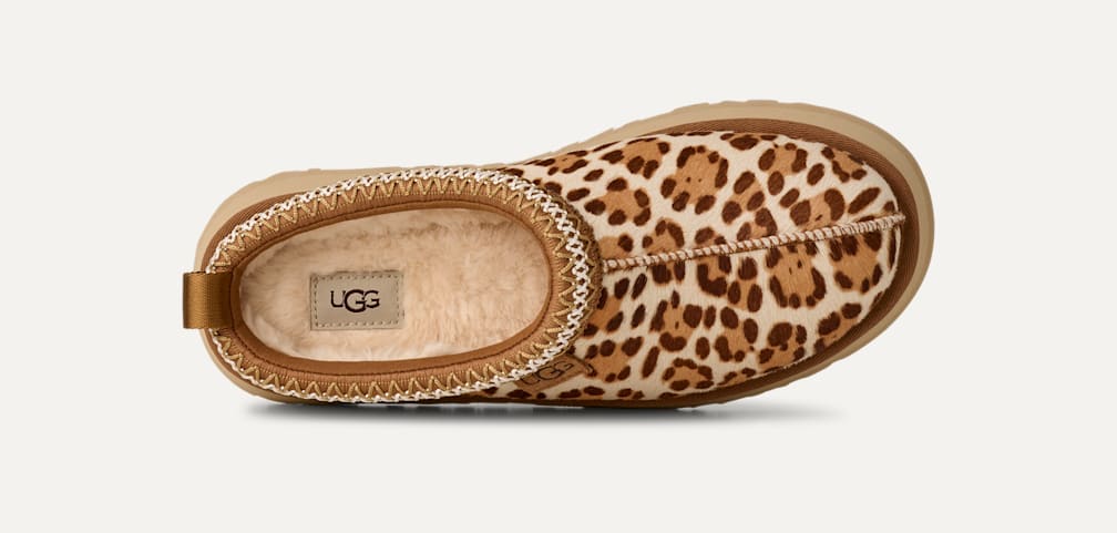 UGG® 公式【 タズ プレインズ|Tazz Plains| 1177890 | レディース