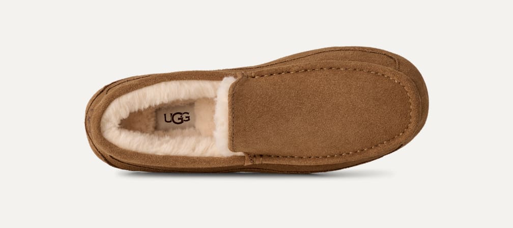 UGG® 公式【 アスコット|Ascot| 1101110 | メンズ】アグ 公式サイト