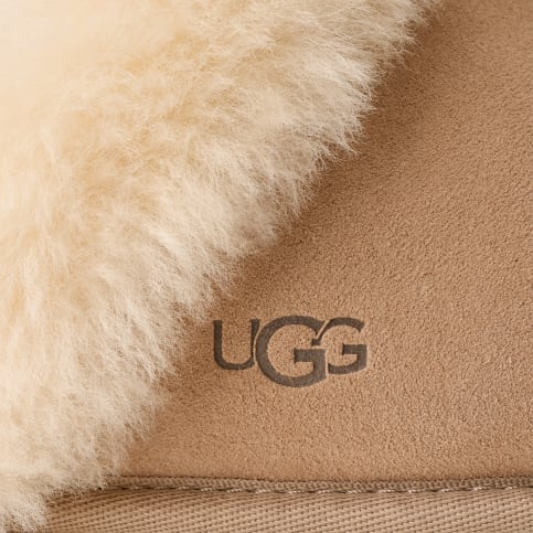 UGG® 公式【 スカフェット II|Scuffette II| 197634000251