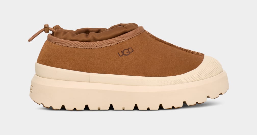 Tasman outlet uggs journeys