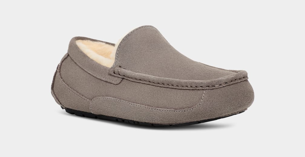 Ascot Slipper UGG
