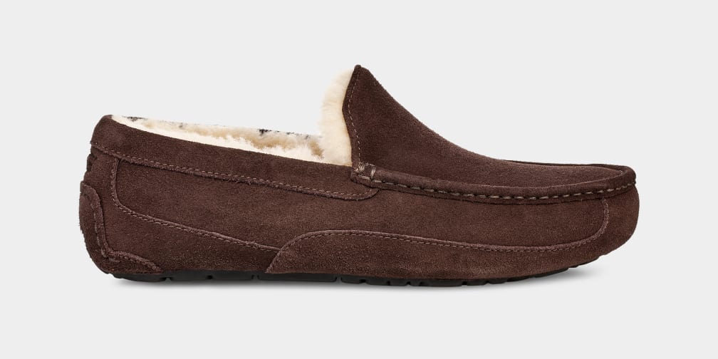 Uggs 2025 ascot sale