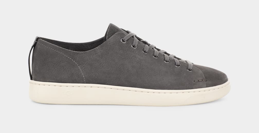 Ugg pismo sneaker hot sale low
