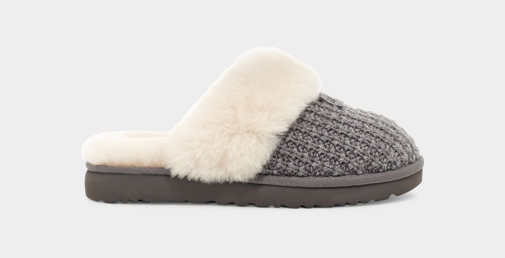 Ugg 2025 cozy slippers
