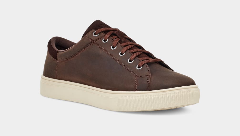 Low top men uggs
