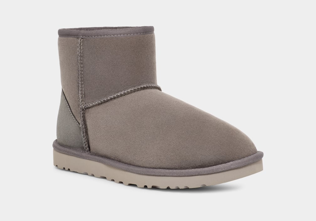 Ugg mens on sale mini boots