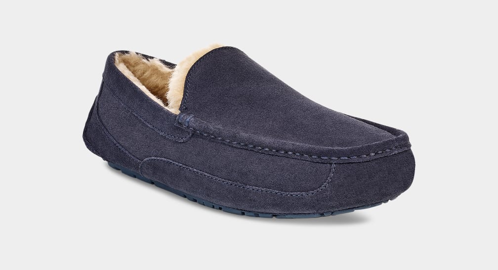 Ugg mens slippers online blue