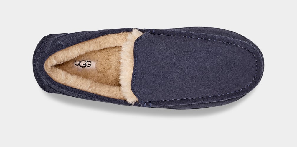 Men's Ascot Slipper | UGG® Official