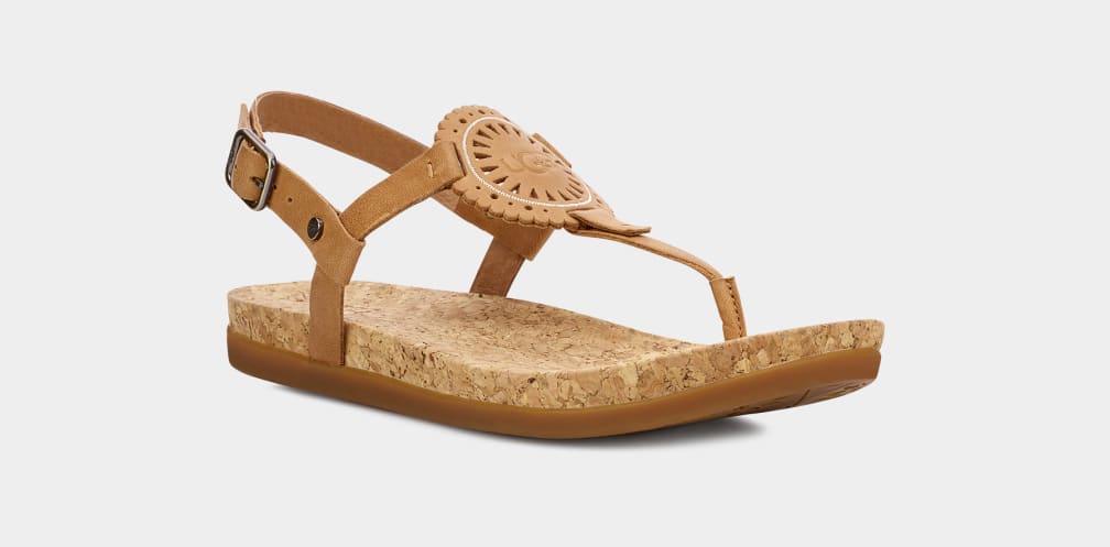 Ugg ayden 2025 ii sandal
