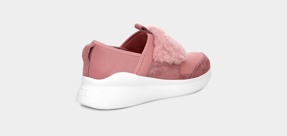 Ugg sales pico sneaker