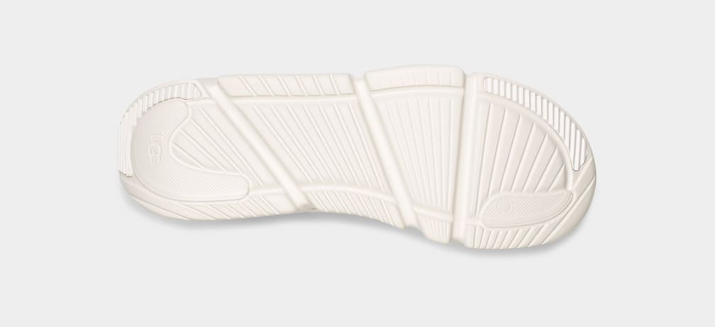 Calle Lace Sneaker | UGG