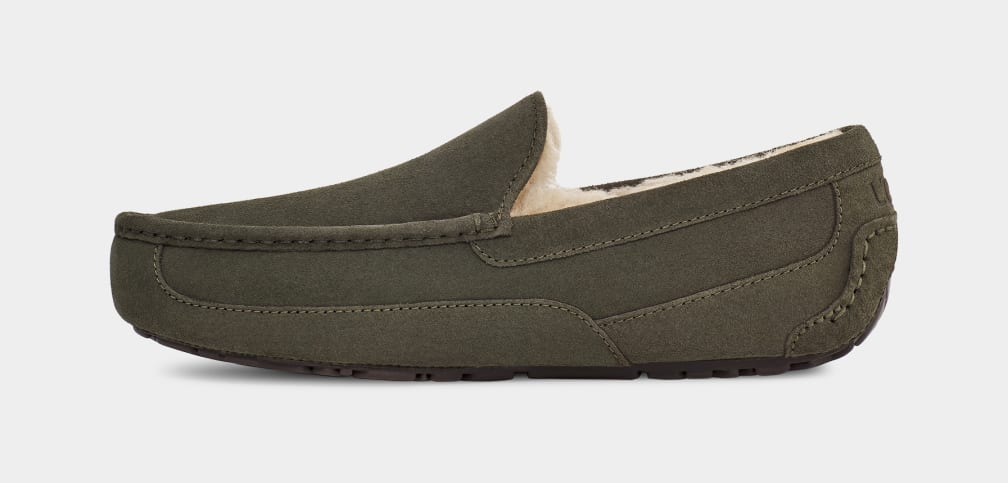 UGG Ascot Slipper for Men UGG Switzerland