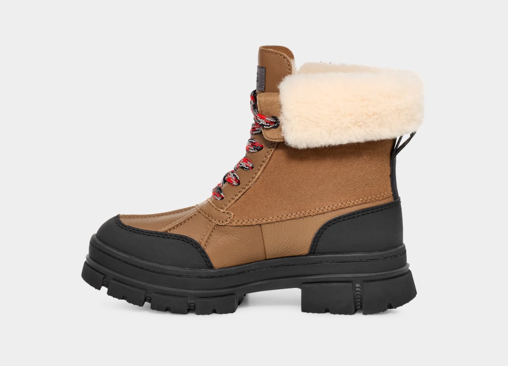 Polo ugg boots best sale