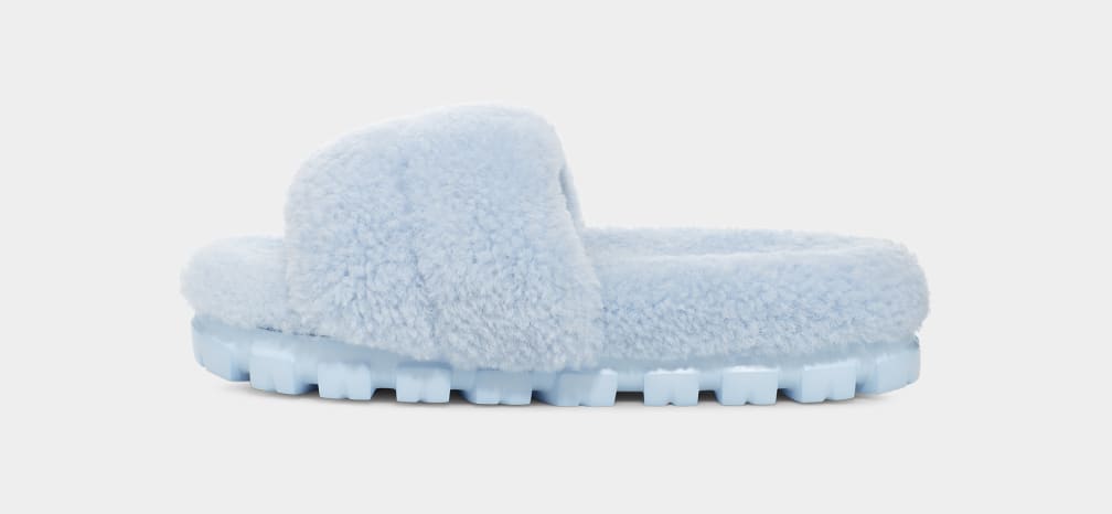 Blue online ugg slipper