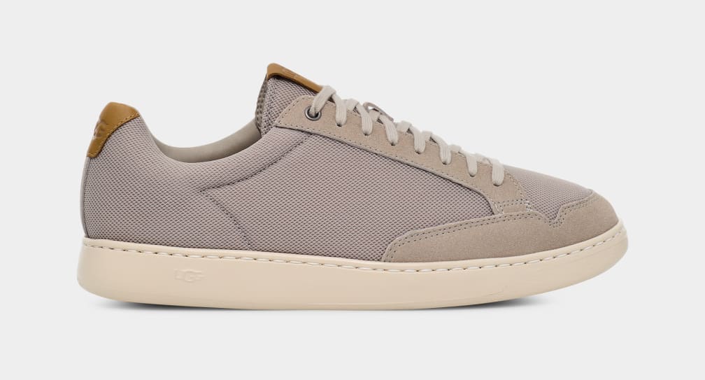 Ugg cali store trainer low