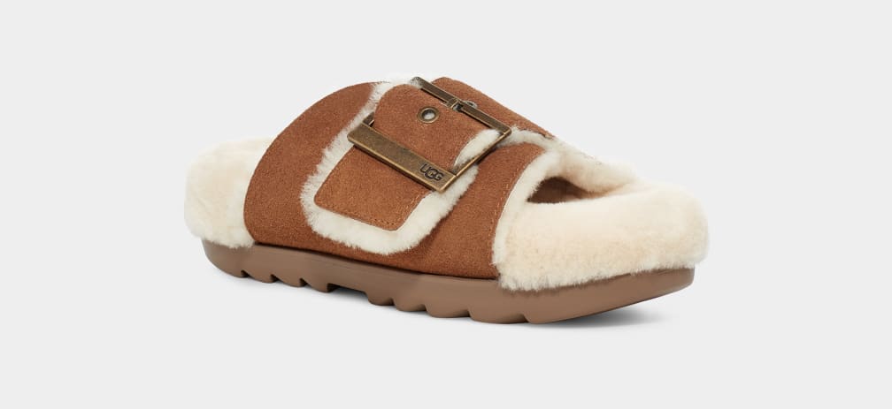 Ugg slippers buckle best sale
