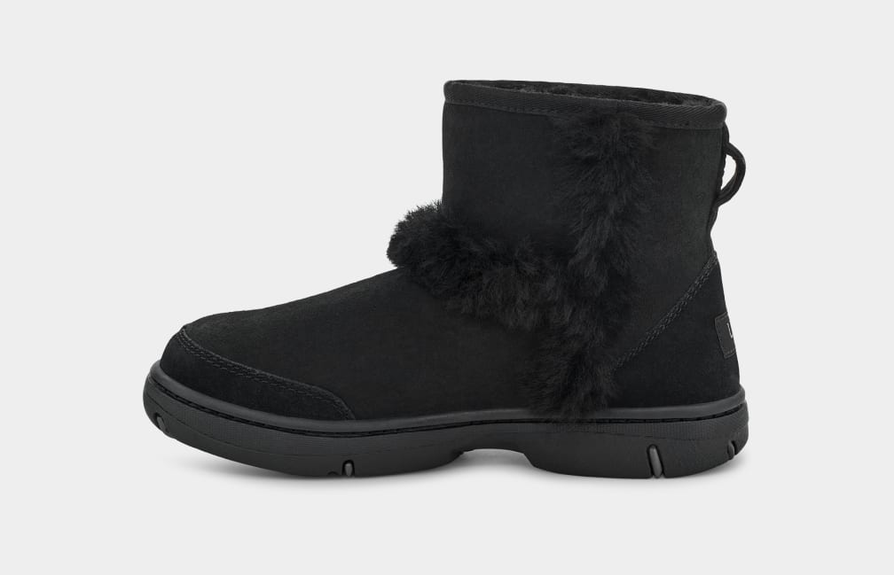 Sunburst uggs deals
