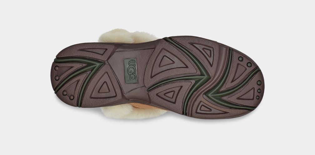 Ugg 2025 sunburst sale