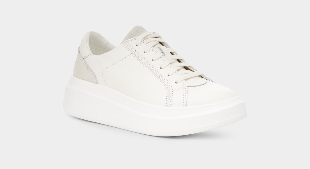 White ugg best sale sneakers