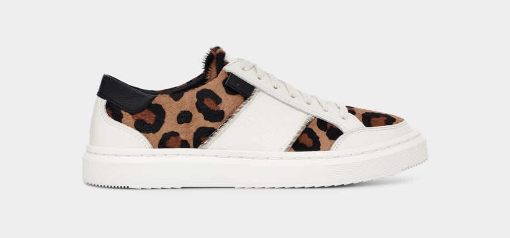 UGG Alameda Animal Print Trainer for Women UGG UK