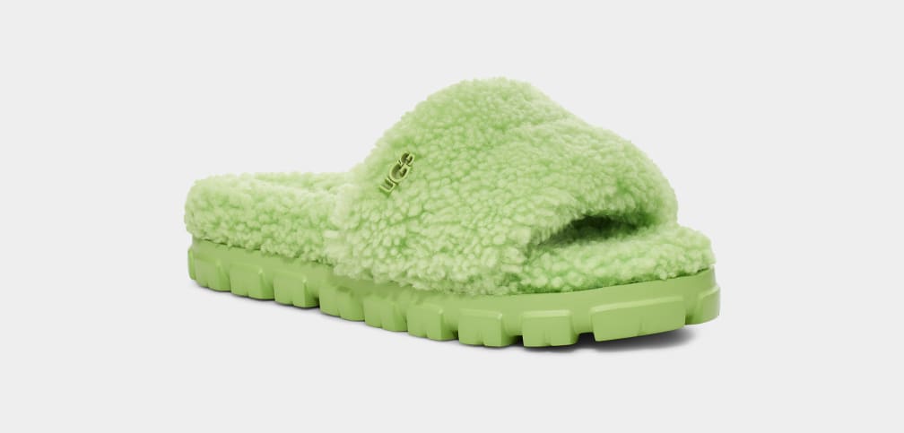 Lime green on sale ugg slippers