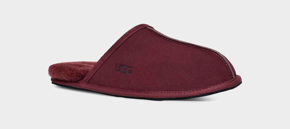 Ugg mens best sale scuff
