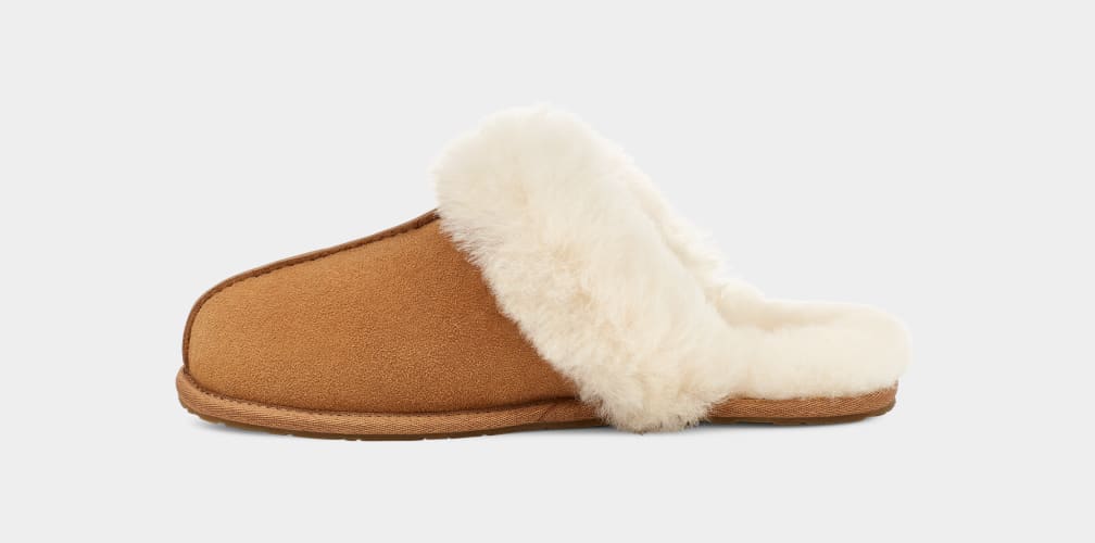 Uggs scuffette best sale ii