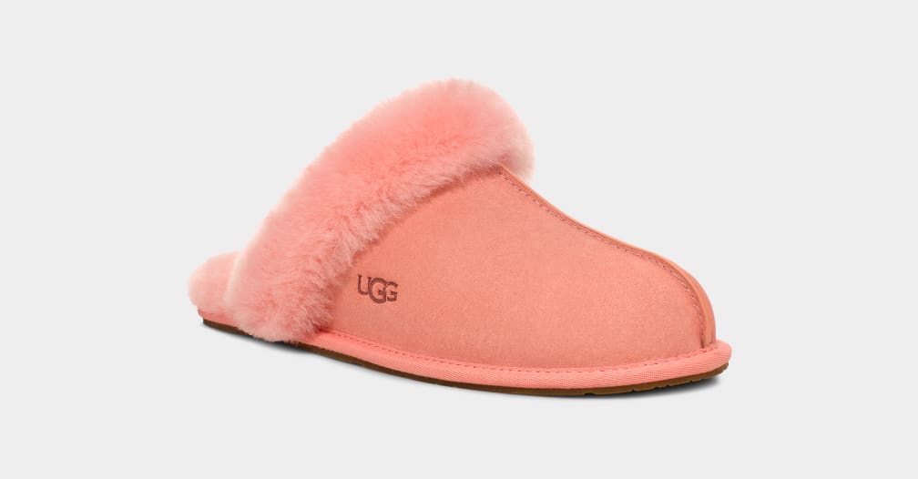 UGG® 公式【 スカフェット II|Scuffette II| 196565763136