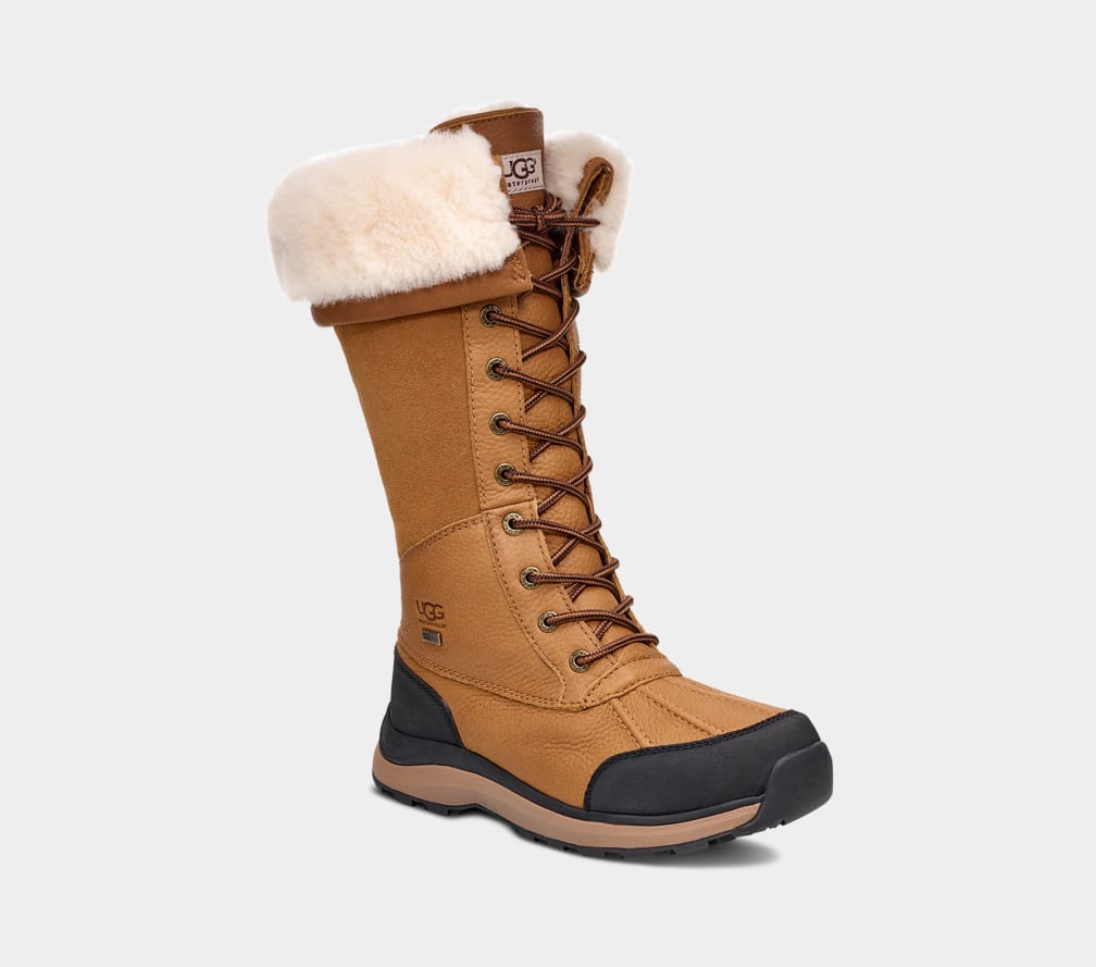 48 Ugg High Boots Stock Photos, High-Res Pictures, and Images