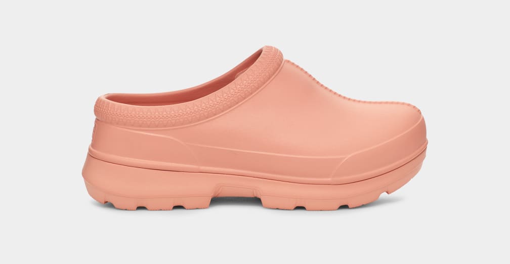 Zinc 2025 shoes website