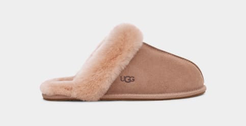 Scuffette ii 2025 slipper oyster