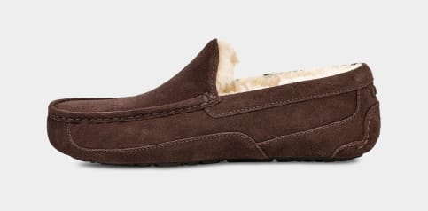 UGG Ascot Slipper for Men UGG UK