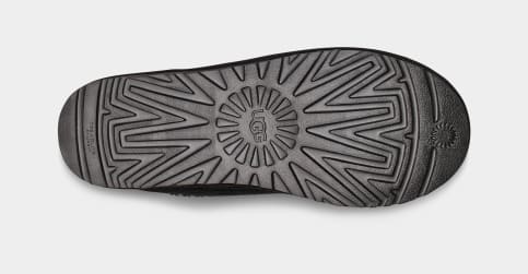 tasman logo ugg