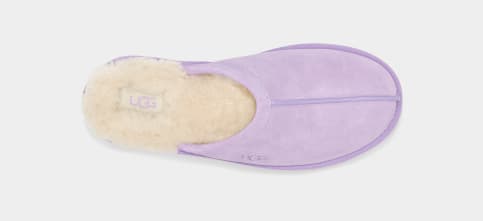 Ugg cheap slippers bodacious