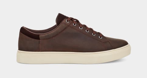 Mens ugg sales shoes