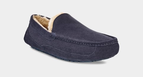 Ugg ascot outlet true navy