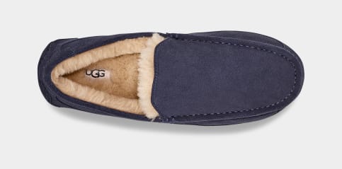 Ugg ascot navy best sale